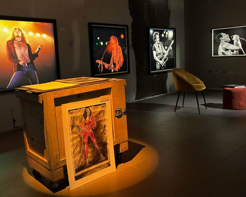 Oak island gallery